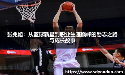 米兰体育官网
