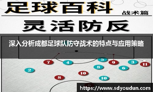 深入分析成都足球队防守战术的特点与应用策略